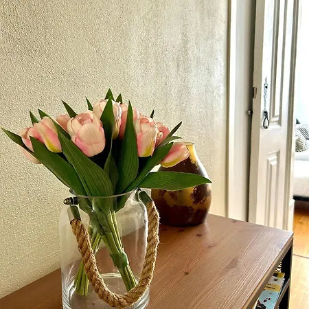 Apartment Sj2d Baixa New Air Conditioning Spacious And Friendly